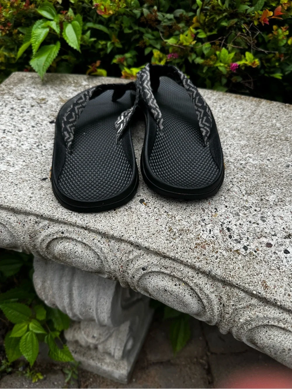 Teva image shows